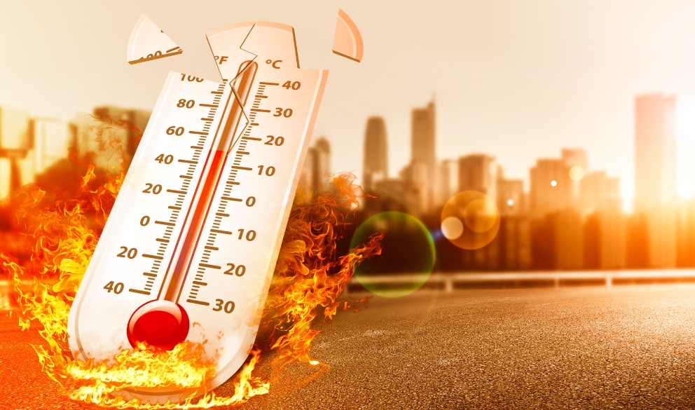 1751423240729569.png 1751423240729569.png